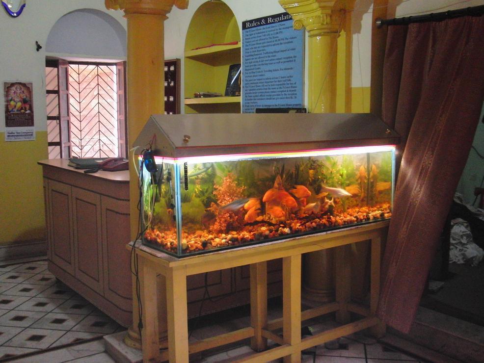 Shivakashi Guest House Varanasi Eksteriør billede